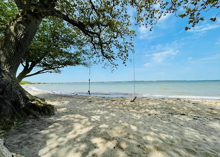 40548-juelsminde-pot-strandby-139 * Sonderby (Midtjylland)